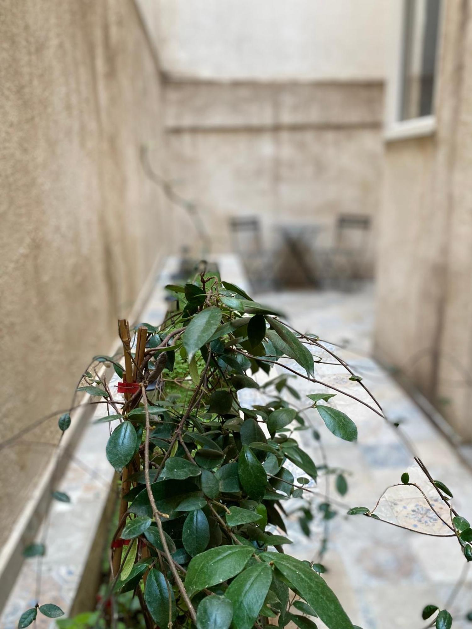 A Place 4 U Under Acropolis Apartment Atena Exterior foto